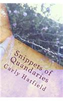 Snippets of Quandaries