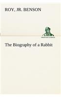 The Biography of a Rabbit