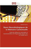 Bases neurobiologiques de la mémoire contextuelle: (Omn.Univ.Europ.)