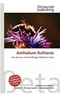 Anthidium Rufitarse: (English)