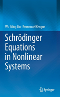 Schrodinger Equations in Nonlinear Systems
