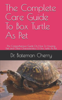 The Complete Care Guide To Box Turtle As Pet