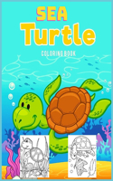 Sea Turtle
