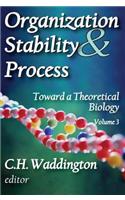 Organization Stability and Process