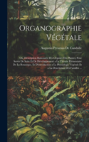 Organographie Végétale