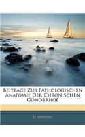 Beitrage Zur Pathologischen Anatomie Der Chronischen Gonorrhoe