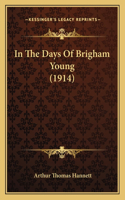 In The Days Of Brigham Young (1914)