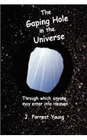 The Gaping Hole in the Universe