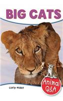 Big Cats