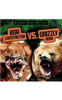 Boa Constrictor vs. Grizzly Bear
