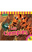 Ciempiés