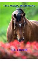 The Magic Wishbone