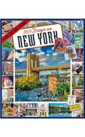 2019 365 Days in New York Picture-A-Day Wall Calendar