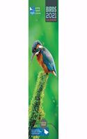 RSPB BIRDS SLIM CALENDAR 2021