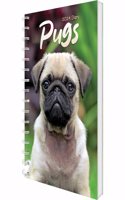 2024 Pugs A5 Engagement Diary