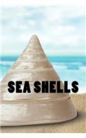 Sea Shells Journal / Notebook