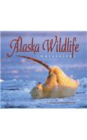 Alaska Wildlife Impressions