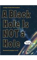 A Black Hole Is Not a Hole