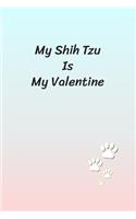 My Shih Tzu Is My Valentine