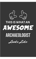 This Is What An Awesome Archaeologist Looks Like Notebook