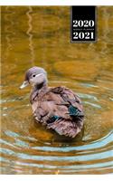 Duck Geese Goose Mallard Duckling Week Planner Weekly Organizer Calendar 2020 / 2021 - First Swimming Lesson