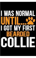 I Was Normal Until I Got My First Bearded Collie