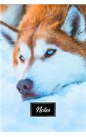 Siberian Husky Huskies Dog Pup Puppy Doggie Notebook Bullet Journal Diary Composition Book Notepad - Relaxing in Snow