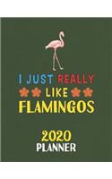 I Just Really Like Flamingos 2020 Planner