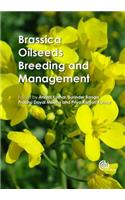 Brassica Oilseeds