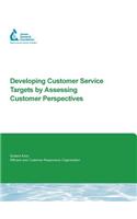 Developing Customer Service Targets by Assessing Customer Perspectives