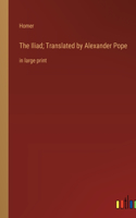 Iliad; Translated by Alexander Pope: in large print