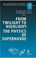 From Twilight to Highlight: The Physics of Supernovae