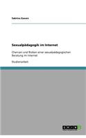 Sexualpädagogik im Internet