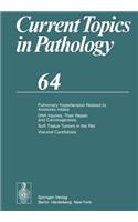 Pulmonary Hypertension Related to Aminorex Intake DNA Injuries, Their Repair, and Carcinogenesis Soft Tissue Tumors in the Rat Visceral Candidosis
