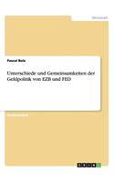 Unterschiede und Gemeinsamkeiten der Geldpolitik von EZB und FED