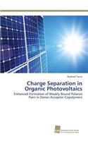 Charge Separation in Organic Photovoltaics