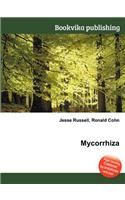 Mycorrhiza