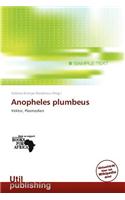 Anopheles Plumbeus