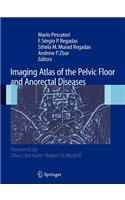 Imaging Atlas of the Pelvic Floor and Anorectal Diseases