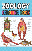 Zoology Coloring Book