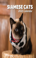 Siamese Cats Calendar 2021