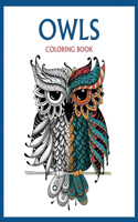 Owls coloring book