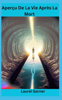 Aperçu De La Vie Après La Mort