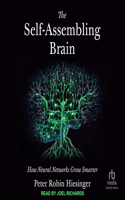 Self-Assembling Brain: How Neural Networks Grow Smarter