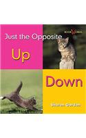 Up, Down: (Just the Opposite)