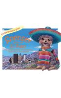 Spenser Goes to El Paso