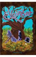 Ellcinder