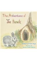 The Adventures of Joe Fenek