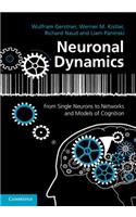 Neuronal Dynamics: From Single Neurons to Networks and Models of Cognition