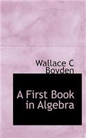 A First Book in Algebra
